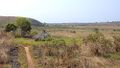 الريف بالقرب من نگاوندال في منطقة أداماوا بالكاميرون.