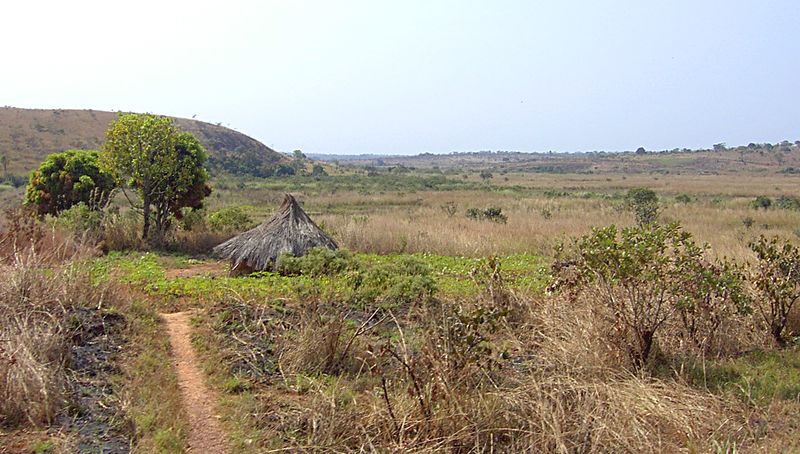 ملف:Hills near Ngaoundal.jpg