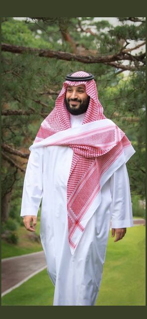 Mohammed Bin Salman1.jpg