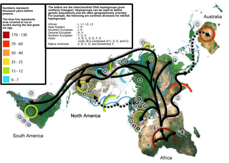 ملف:Map-of-human-migrations.svg