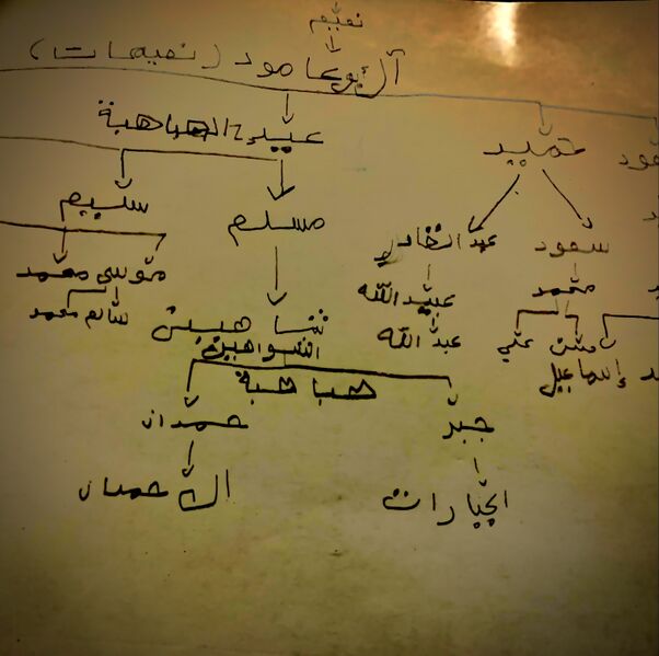 ملف:IMG 3854.jpeg