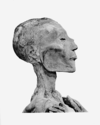 Ramses V mummy head.png