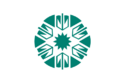 علم المنظمة الدولية للثقافة التوركية