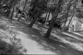 معسكر الپلماخ في كفار جلعادي عام 1948