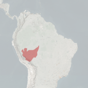 خريطة النطاق