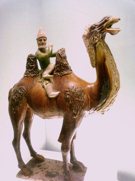 ملف:Westerner on a camel.jpg