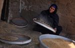 فلسطينية تنخل القمح في جزيرة فاضل.