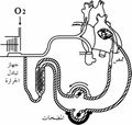 تصغير للنسخة بتاريخ 22:51، 20 أبريل 2010