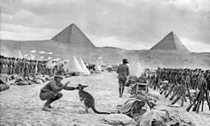 A soldier plays with a kangaroo, while in the middle distance other soldiers are formed up in ranks in front of a number of tents. Two large pyramids are partially obscured by a large hill in the background.
