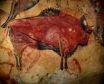 Rock painting of a bison in red and black.