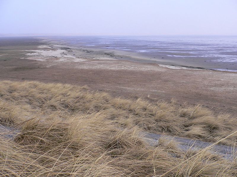 ملف:Ramsar transboundary Site Wadden Sea.jpg