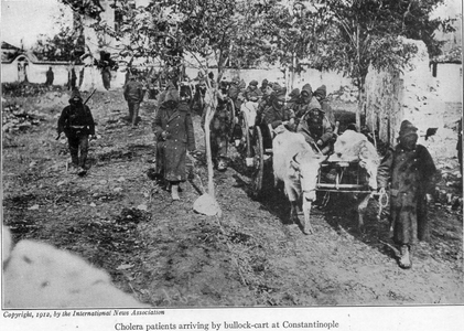 1913-انتشرت الكوليرا بين الجنود.