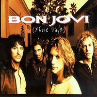 Bon Jovi These Days.jpg