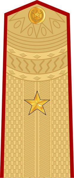 ملف:Vietnam People's Army Major General.jpg