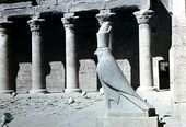 Horus statue in the courtyard of the temple
