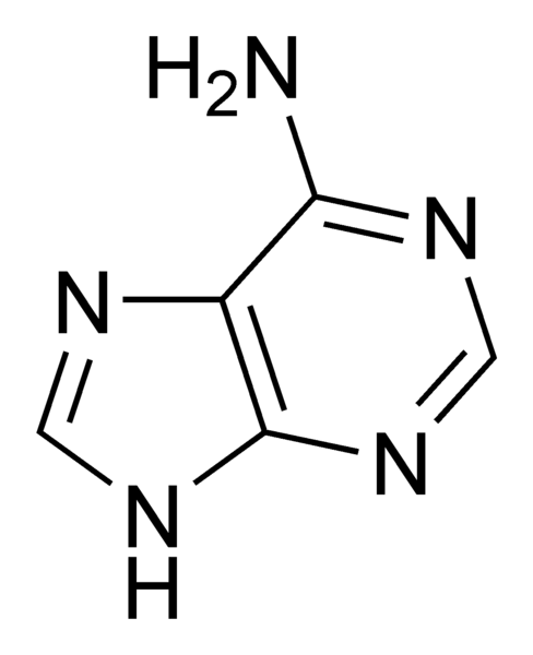 ملف:Adenine chemical structure.png
