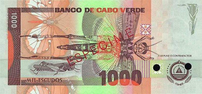 ملف:Cape Verde - 1992 1000CVE note - back.jpg
