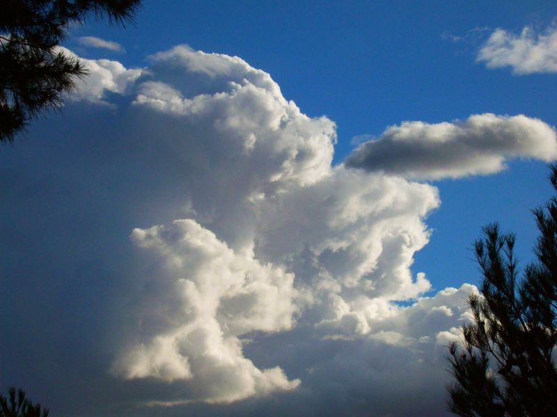 ملف:Pic of a Cumulus cloud 2009.jpg