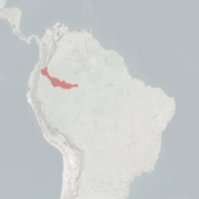 خريطة النطاق