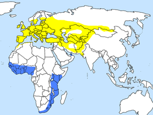 Caprimulgus europaeus -range map.png
