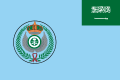 Flag of the Royal Saudi Air Force. (Ratio: 2:3)