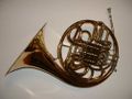 A common double horn.