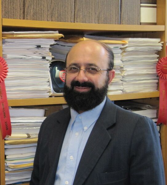 ملف:Hamid Soltanian Zadeh.JPG