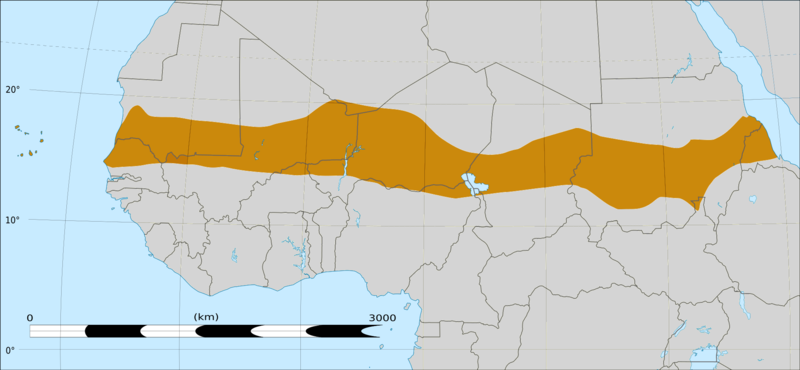 ملف:Sahel Map-Africa rough.png