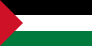 Flag of Palestine - short triangle.svg