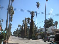 PikiWiki Israel 4472 Founders Street Binyamina.JPG