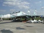 Russian Air Force Su-30.jpg