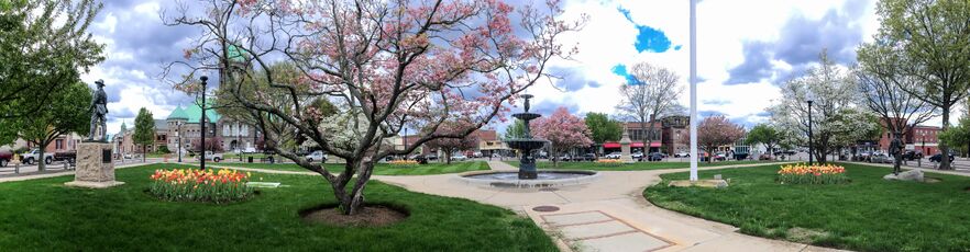 Taunton Green Panorama