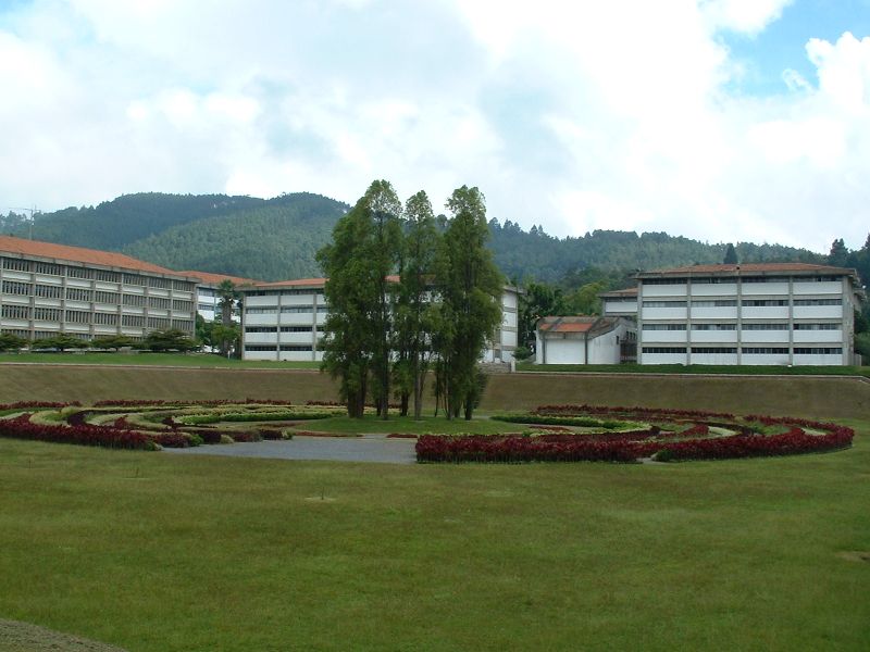 ملف:Laberinto Cromovegetal - Universidad Simón Bolívar.jpg