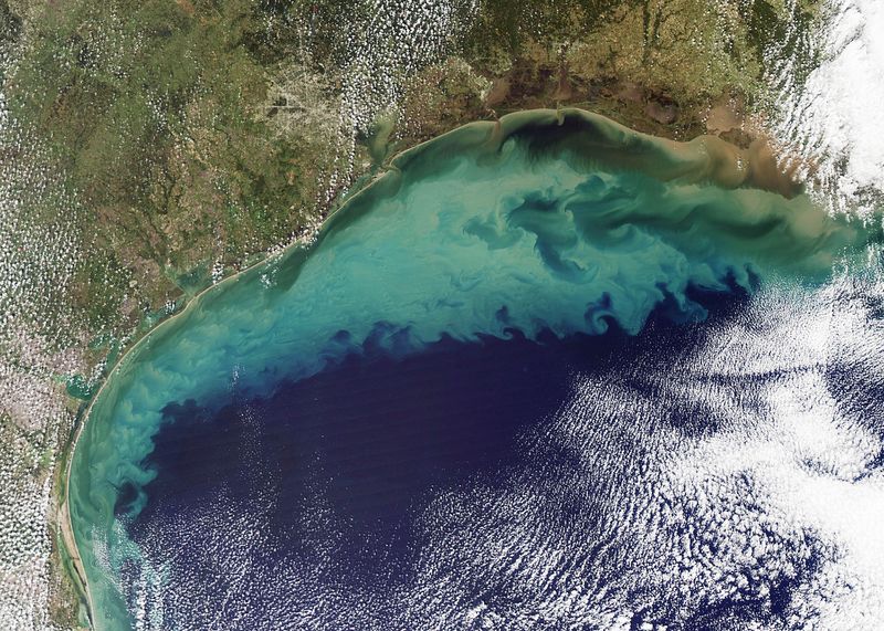 ملف:Sediment in the Gulf of Mexico (2).jpg