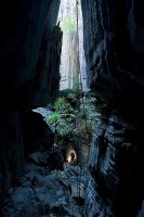 شخص يقف بين الصخور العالية في غابات تسينگي.
