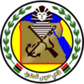 شعار قوات حرس الحدود المصرية كان يُستخدم كشعار رسمي للنادي حتى 2017