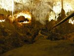 Carlsbad Caverns rail pic.JPG