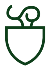 Stylized outline of a shield surmounted by a torch