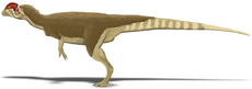 Dilophosaurus wetherilli.PNG
