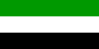 Northern Alliance flag flown in Panjshir (2021).png