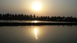 Kolleru lake beauty at it's best.jpg