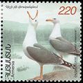 An illustration of Armenian gulls on a 2003 Armenian stamp