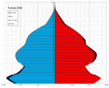 Tunisia single age population pyramid 2020.png