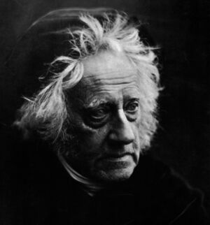Sir John Herschel with Cap by Julia Margaret Cameron (detail).jpg