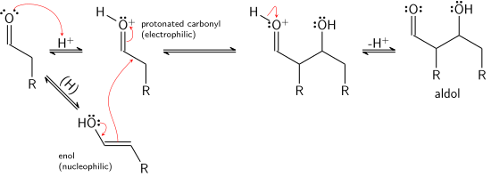 Mechanism for acid-catalyzed aldol reaction of an aldehyde with itself