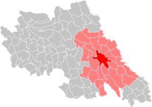 Iași metropolitan area map.svg