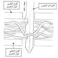 تصغير للنسخة بتاريخ 18:35، 21 يناير 2011