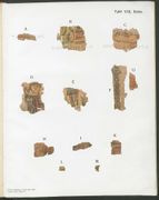 Pl. 8, Recto - A, C, H-M: Indefinite. B: An altar in the brush D: Unknown ruler. E: Undergarment of male figure. F+G: Palm tree or column.