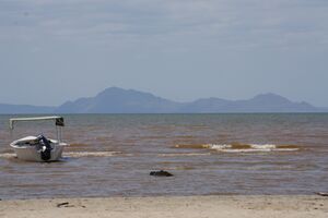 View of Lake Turkana with the Koobi Fora formations in the background.