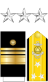 The collar stars, shoulder boards, and sleeve stripes of a National Oceanic and Atmospheric Administration Commissioned Officer Corps vice admiral